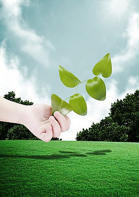 PSD 나무 식물 구름 편집 편집이미지 손 캠페인 잎 하늘 한명 사람 잔디 초원 신체부위 초록색 햇빛 태양 자연보호 환경 그린캠페인 풀 그린에너지 친환경 이미지편집 자연요소 1 컬러 자연 에너지 보호 파일형식