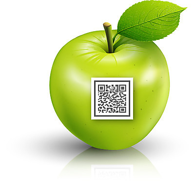 식물 아이콘 잎 과일 나뭇잎 입체아이콘 디테일아이콘 사람없음 디지털 코드 암호 사과 친환경 청사과 QR코드 디테일 2D아이콘 AI파일 환경 입체 파일형식 벡터
