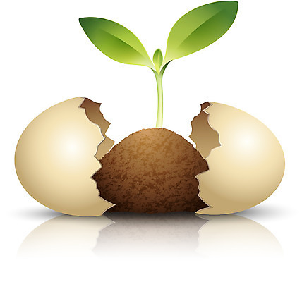 식물 아이콘 잎 나뭇잎 입체아이콘 디테일아이콘 사람없음 새싹 계란 알 웹 흙 손상 친환경 디테일 2D아이콘 AI파일 컨셉 인터넷 환경 입체 파일형식 벡터