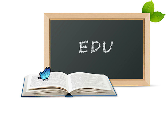 식물 동물 아이콘 알파벳 영어 교육 나비 곤충 잎 나뭇잎 입체아이콘 디테일아이콘 사람없음 책 단어 새싹 디지털 웹 칠판 펼침 오브젝트 친환경 디테일 2D아이콘 AI파일 문자 인터넷 모션 환경 입체 파일형식 벡터