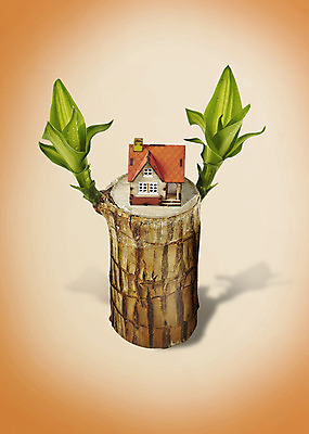 PSD 식물 편집 편집이미지 건축물 주택 사람없음 3D 새싹 봄 오브젝트 싱그러움 행운목 편집3D 계절 건축 건물 디지털합성 파일형식