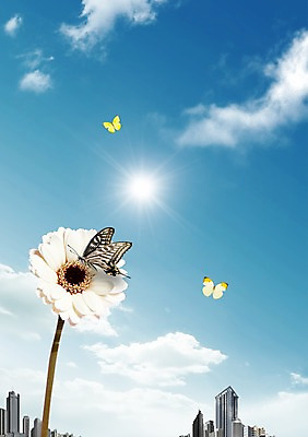 PSD 식물 동물 구름 편집이미지 꽃 컬러 나비 곤충 절지류 하늘 세마리 빌딩 사람없음 건물 햇빛 태양 흰색 도시 이미지편집 자연요소 건축물 3 파일형식