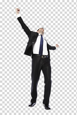 전신 서양인 외국인 백인 편집 편집이미지 남자 맨라이프 포즈 비즈니스 모션 팔벌리기 한명 서기 사람 정장 성인 앞모습 30대 비즈니스라이프 손들기 주먹 기쁨 직장인 비즈니스맨 PNG 남자만 남자한명만 성인남자만 성인한명만 성인남자한명만 장년만 장년남자만 장년남자한명만 성인만 편집소스 직업 1 라이프스타일 옷 감정 뷰포인트 인종 장년 파일형식