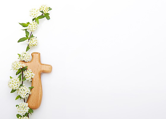 포토 JPG 스튜디오촬영 식물 꽃 기독교 종교 백그라운드 십자가 종교용품 기독교용품 실내 사람없음 오브젝트 조팝나무 국내포토 나무 내부 파일형식