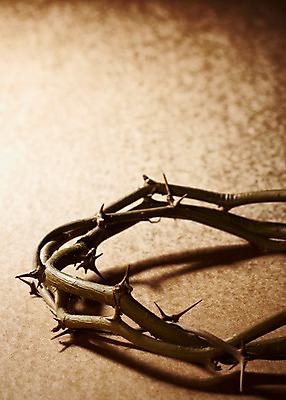 포토 JPG 스튜디오촬영 기독교 종교 백그라운드 종교용품 기독교용품 실내 근접촬영 사람없음 아웃포커스 가시 오브젝트 관 가시면류관 관_장례 국내포토 뷰포인트 촬영기법 내부 장례용품 파일형식