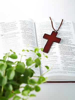 포토 JPG 스튜디오촬영 식물 기독교 종교 백그라운드 십자가 잎 목걸이 종교용품 기독교용품 실내 근접촬영 사람없음 아웃포커스 책 성경 펼침 풀 오브젝트 국내포토 뷰포인트 장신구 모션 촬영기법 내부 파일형식