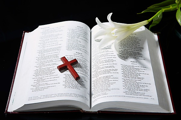 포토 JPG 스튜디오촬영 식물 꽃 기독교 종교 백그라운드 십자가 종교용품 기독교용품 실내 근접촬영 사람없음 아웃포커스 책 성경 펼침 백합 오브젝트 국내포토 뷰포인트 모션 촬영기법 내부 파일형식