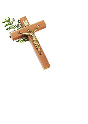 포토 JPG 스튜디오촬영 식물 기독교 종교 백그라운드 십자가 종교용품 기독교용품 실내 사람없음 풀 예수 오브젝트 국내포토 내부 신_종교 파일형식