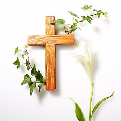 포토 JPG 스튜디오촬영 식물 꽃 기독교 종교 백그라운드 십자가 종교용품 기독교용품 실내 근접촬영 사람없음 아웃포커스 풀 백합 오브젝트 국내포토 뷰포인트 촬영기법 내부 파일형식