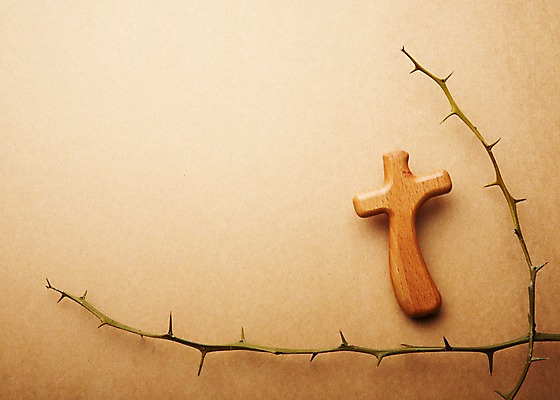 포토 JPG 스튜디오촬영 식물 기독교 종교 배경화면 백그라운드 십자가 종교용품 기독교용품 실내 사람없음 나뭇가지 가시 오브젝트 가시나무 국내포토 나무 내부 파일형식