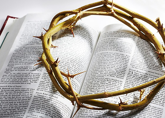 포토 JPG 스튜디오촬영 기독교 종교 배경화면 백그라운드 종교용품 기독교용품 실내 근접촬영 사람없음 아웃포커스 책 성경 펼침 가시 오브젝트 관 가시면류관 관_장례 국내포토 뷰포인트 모션 촬영기법 내부 장례용품 파일형식