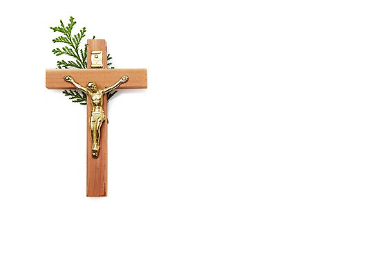 포토 JPG 스튜디오촬영 식물 기독교 종교 백그라운드 십자가 종교용품 기독교용품 실내 사람없음 풀 예수 오브젝트 국내포토 내부 신_종교 파일형식