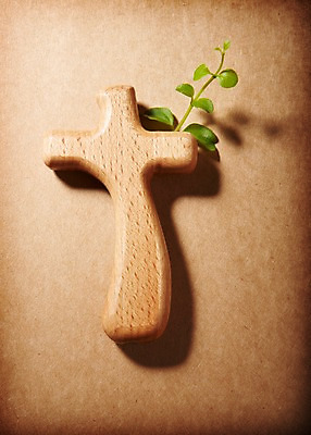 포토 JPG 스튜디오촬영 식물 기독교 종교 배경화면 백그라운드 십자가 종교용품 기독교용품 실내 근접촬영 사람없음 아웃포커스 풀 오브젝트 국내포토 뷰포인트 촬영기법 내부 파일형식