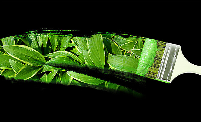 PSD 식물 편집이미지 잎 사람없음 페인트 붓 색칠 칠 풀 이미지편집 파일형식