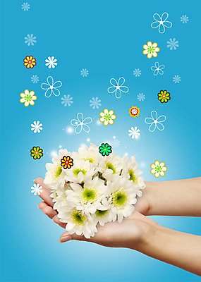 PSD 식물 편집이미지 손 꽃잎 꽃 컬러 한명 들기 신체부위 양손 흰색 풀 이미지편집 1 모션 사람 파일형식