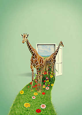 PSD 식물 동물 편집이미지 꽃 두마리 포유류 초식동물 잔디 사람없음 문 풀 기린 이미지편집 2 파일형식