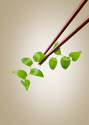 PSD 식물 편집이미지 잎 젓가락 사람없음 잡기 풀 이미지편집 모션 수저 파일형식