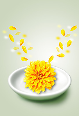 PSD 식물 편집이미지 그릇 식기 접시 꽃잎 꽃 컬러 사람없음 노란색 풀 이미지편집 파일형식