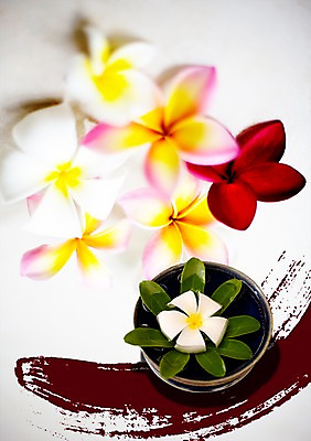 PSD 식물 편집 편집이미지 그릇 꽃잎 꽃 백그라운드 꽃백그라운드 붓터치 사람없음 물 뷰티 스파 대접 미용용품 스파용품 이미지편집 자연요소 식기 오브젝트 파일형식