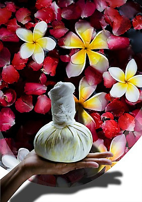 PSD 식물 편집 편집이미지 손 꽃잎 꽃 백그라운드 그림자 한명 들기 신체부위 물 뷰티 스파 미용용품 주머니 스파용품 이미지편집 자연요소 1 모션 사람 오브젝트 파일형식