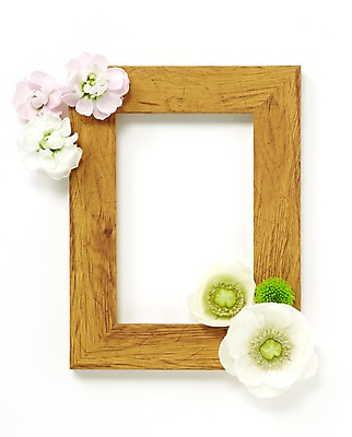 포토 JPG 스튜디오촬영 식물 꽃 컬러 액자 백그라운드 꽃백그라운드 프레임 실내 액자틀 틀 사람없음 목재 장식 흰색 나무틀 국내포토 나무 재료 내부 파일형식