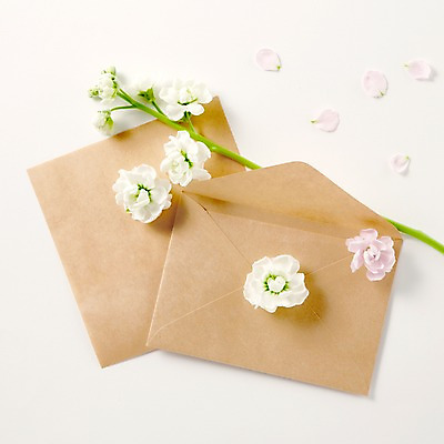 포토 JPG 스튜디오촬영 식물 꽃잎 꽃 컬러 여러송이 백그라운드 꽃백그라운드 봉투 편지봉투 실내 사람없음 흰색 편지 스토크 국내포토 다수 내부 파일형식