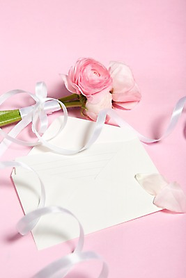 포토 JPG 스튜디오촬영 식물 꽃 리본 분홍색 컬러 백그라운드 꽃백그라운드 봉투 편지봉투 실내 근접촬영 사람없음 아웃포커스 끈 편지 세송이 라넌큘러스 국내포토 뷰포인트 촬영기법 3 내부 파일형식