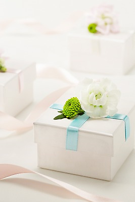 포토 JPG 스튜디오촬영 식물 꽃 리본 컬러 백그라운드 꽃백그라운드 실내 선물 근접촬영 사람없음 아웃포커스 선물상자 상자 흰색 끈 스토크 국내포토 뷰포인트 촬영기법 내부 파일형식