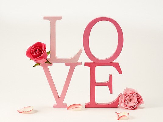 포토 JPG 스튜디오촬영 식물 알파벳 영어 꽃잎 꽃 컬러 백그라운드 꽃백그라운드 대문자 실내 사랑 사람없음 빨간색 단어 장미 국내포토 문자 감정 내부 파일형식