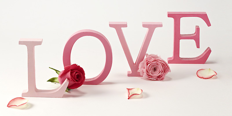 포토 JPG 스튜디오촬영 식물 알파벳 영어 꽃잎 꽃 컬러 백그라운드 꽃백그라운드 대문자 실내 사랑 사람없음 빨간색 단어 장미 국내포토 문자 감정 내부 파일형식