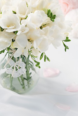 포토 JPG 스튜디오촬영 식물 꽃 컬러 여러송이 백그라운드 꽃백그라운드 탁자 실내 근접촬영 사람없음 아웃포커스 꽃병 흰색 병 프리지어 국내포토 식기 뷰포인트 가구 다수 촬영기법 내부 파일형식