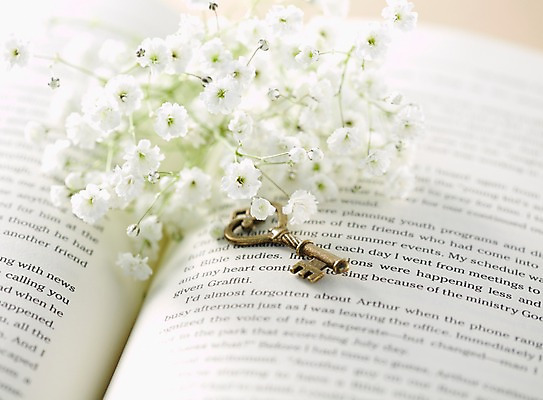 포토 JPG 스튜디오촬영 식물 꽃 컬러 여러송이 백그라운드 꽃백그라운드 열쇠 실내 근접촬영 사람없음 아웃포커스 책 펼침 흰색 안개꽃 국내포토 뷰포인트 다수 모션 촬영기법 내부 한해살이풀 파일형식