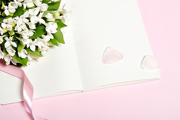 포토 JPG 스튜디오촬영 식물 꽃잎 꽃 리본 종이 컬러 부케 여러송이 백그라운드 꽃백그라운드 실내 근접촬영 사람없음 아웃포커스 공책 끈 부바르디아 국내포토 뷰포인트 꽃다발 다수 문구용품 촬영기법 내부 파일형식