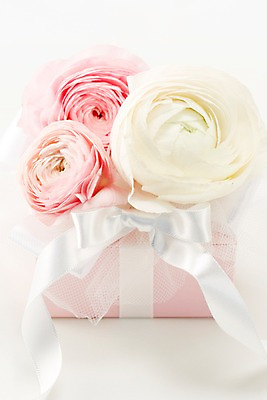 포토 JPG 스튜디오촬영 식물 꽃 리본 분홍색 컬러 백그라운드 꽃백그라운드 실내 선물 근접촬영 사람없음 아웃포커스 선물상자 상자 노란색 끈 세송이 라넌큘러스 국내포토 뷰포인트 촬영기법 3 내부 파일형식