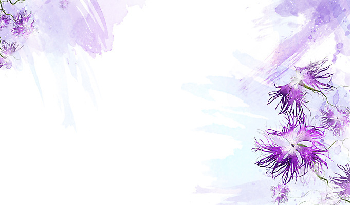 PSD 식물 꽃 컬러 백그라운드 잎 꽃백그라운드 일러스트 자연 사람없음 보라색 술패랭이 국내일러스트 생태계 파일형식