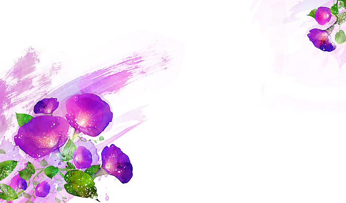 PSD 식물 꽃 컬러 백그라운드 잎 꽃백그라운드 일러스트 자연 사람없음 보라색 나팔꽃 국내일러스트 생태계 파일형식