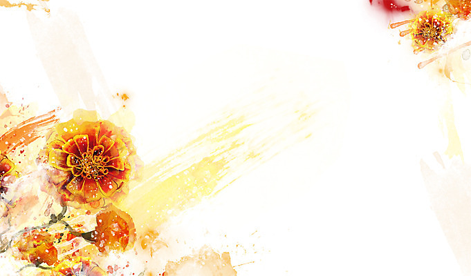 PSD 식물 꽃 컬러 백그라운드 잎 꽃백그라운드 일러스트 자연 사람없음 주황색 카네이션 국내일러스트 생태계 파일형식