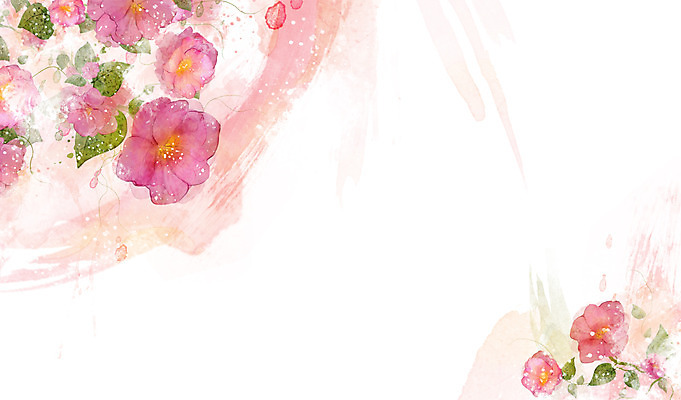 PSD 식물 꽃 분홍색 컬러 백그라운드 잎 꽃백그라운드 일러스트 자연 사람없음 베고니아 국내일러스트 생태계 파일형식