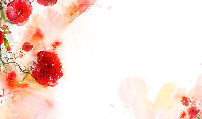 PSD 식물 꽃 컬러 백그라운드 잎 꽃백그라운드 일러스트 자연 사람없음 빨간색 장미 국내일러스트 생태계 파일형식