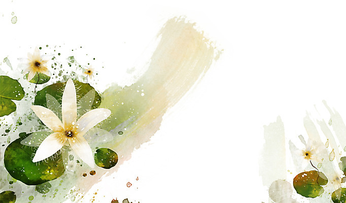 PSD 식물 꽃 컬러 백그라운드 잎 꽃백그라운드 일러스트 자연 사람없음 흰색 술패랭이 국내일러스트 생태계 파일형식