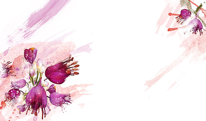 PSD 식물 꽃 컬러 백그라운드 잎 꽃백그라운드 일러스트 자연 사람없음 자주색 국내일러스트 생태계 파일형식