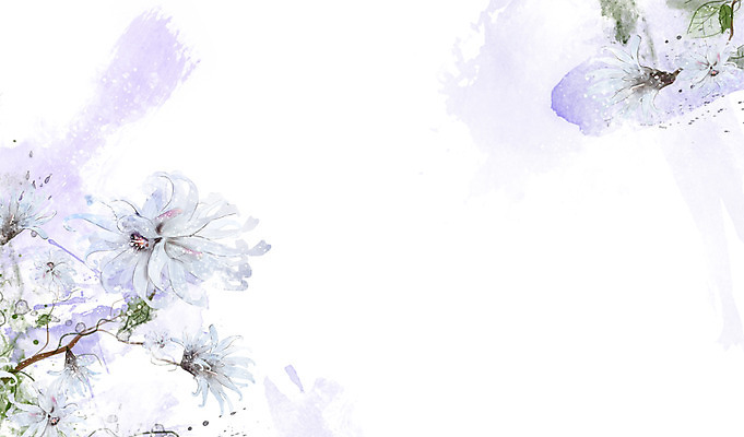 PSD 식물 꽃 컬러 백그라운드 잎 꽃백그라운드 일러스트 자연 사람없음 흰색 국내일러스트 생태계 파일형식