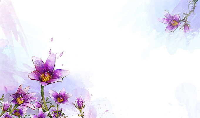 PSD 식물 꽃 컬러 백그라운드 잎 꽃백그라운드 일러스트 자연 사람없음 보라색 할미꽃 국내일러스트 생태계 파일형식