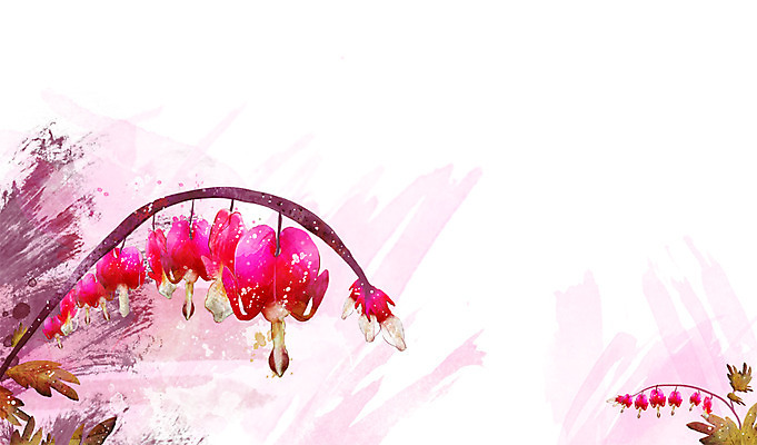 PSD 식물 꽃 컬러 백그라운드 잎 꽃백그라운드 일러스트 자연 사람없음 자주색 금낭화 국내일러스트 생태계 파일형식