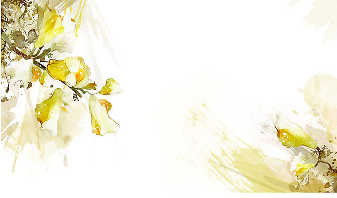 PSD 식물 꽃 컬러 백그라운드 잎 꽃백그라운드 일러스트 자연 사람없음 노란색 해란초 국내일러스트 생태계 파일형식