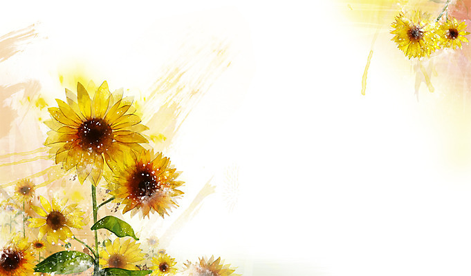 PSD 식물 꽃 컬러 백그라운드 잎 꽃백그라운드 일러스트 자연 해바라기 사람없음 노란색 국내일러스트 생태계 파일형식