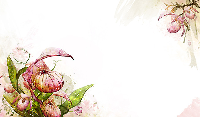 PSD 식물 꽃 분홍색 컬러 백그라운드 잎 꽃백그라운드 일러스트 자연 사람없음 개불알꽃 국내일러스트 생태계 파일형식