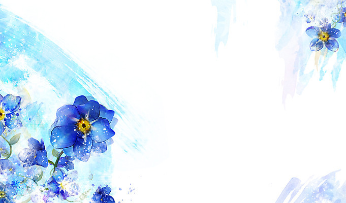 PSD 식물 컬러 백그라운드 잎 꽃백그라운드 일러스트 자연 사람없음 파란색 물망초 국내일러스트 꽃 생태계 파일형식