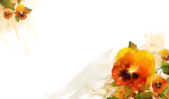 PSD 식물 꽃 컬러 백그라운드 잎 꽃백그라운드 일러스트 자연 사람없음 주황색 팬지 국내일러스트 생태계 파일형식