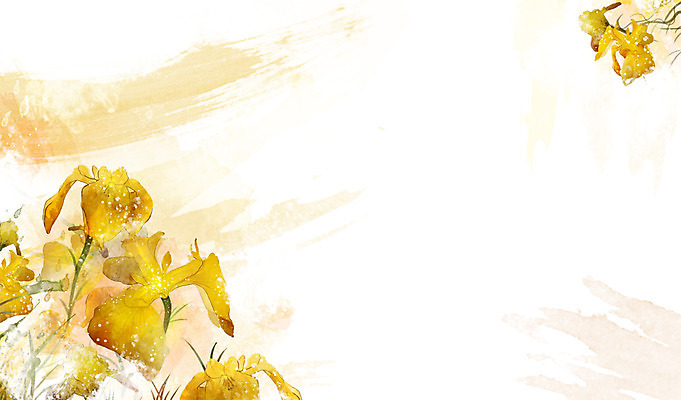 PSD 식물 꽃 컬러 백그라운드 잎 꽃백그라운드 일러스트 자연 사람없음 노란색 노랑꽃창포 국내일러스트 생태계 파일형식